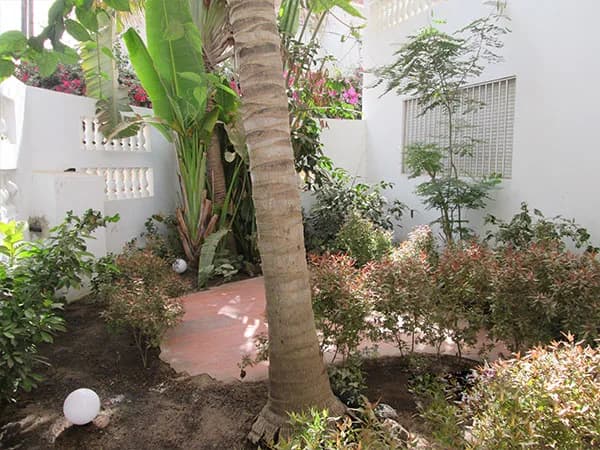 Villa Tropicale de Charme R+2