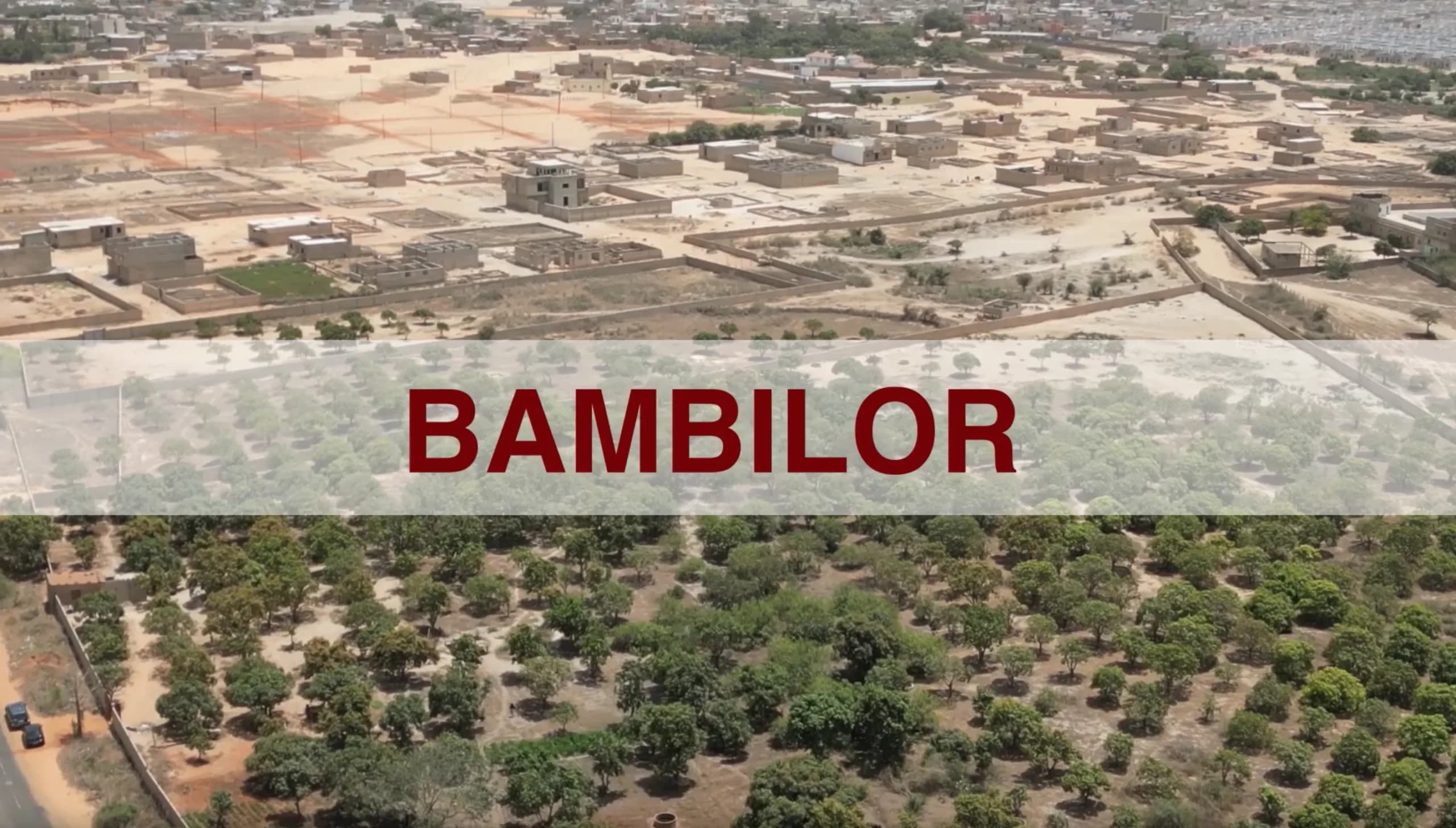 Bambilor ( 16 HA / TF 15885 /R )