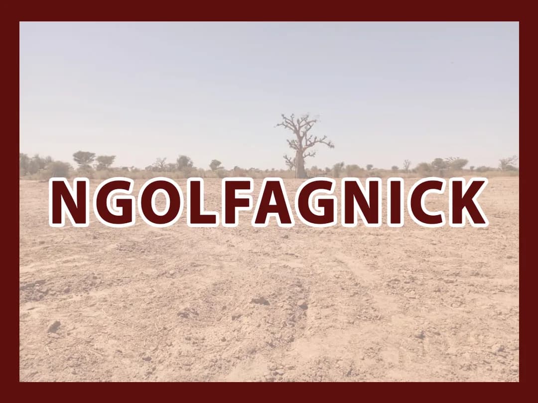 NGOLFAGNICK