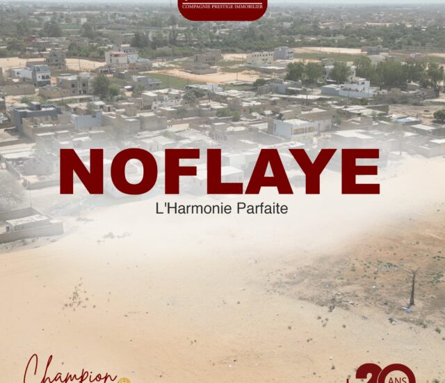 Découvrez Noflaye, une zone à fort potentiel économique